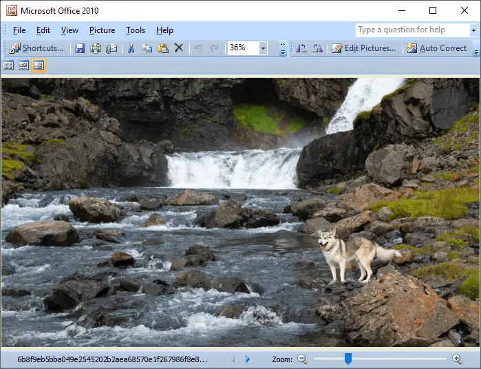 install office picture manager in windows 10