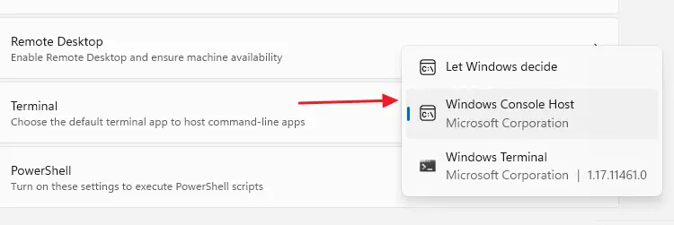 set default terminal settings - console host